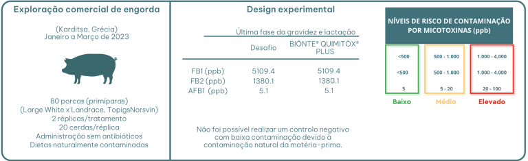 Figura 1. Desenho experimental dos dois testes.